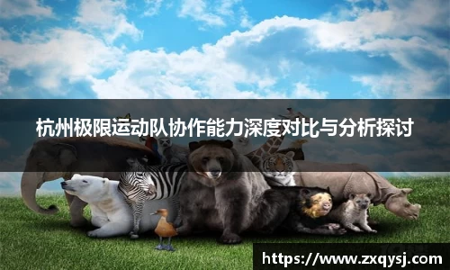 bsports官网入口